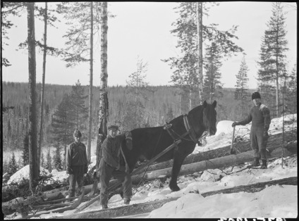Skogshuggare och körare från Långnäs, 1930-tal. Mellan de tre männen en arbetshäst.