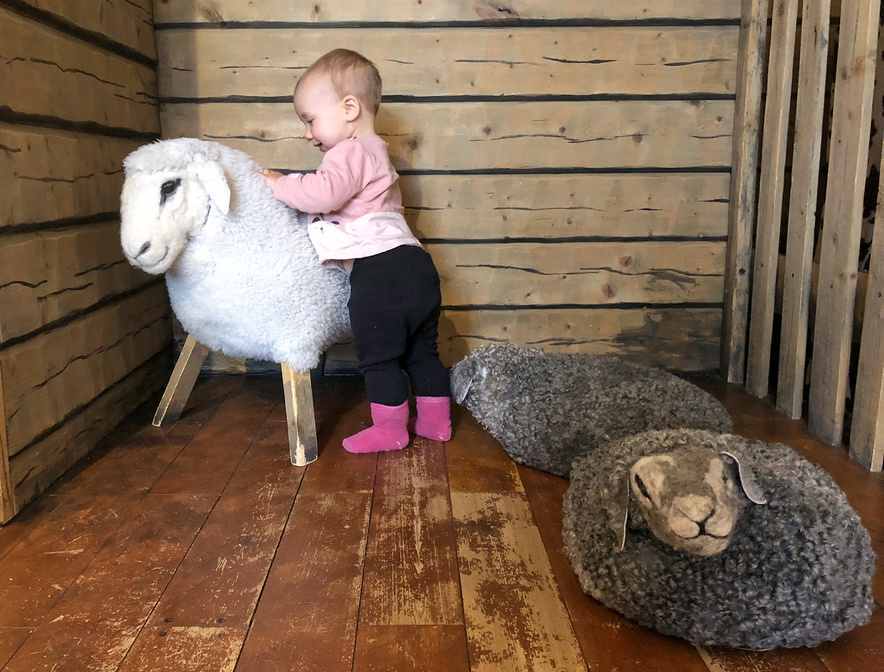 'Ett litet barn som klappar ett låtsasfår.'