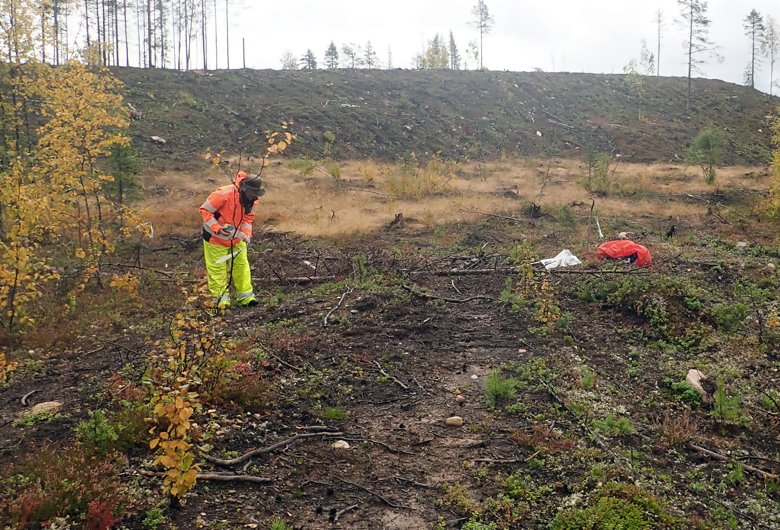 En arkeolog som står och tittar i marken.