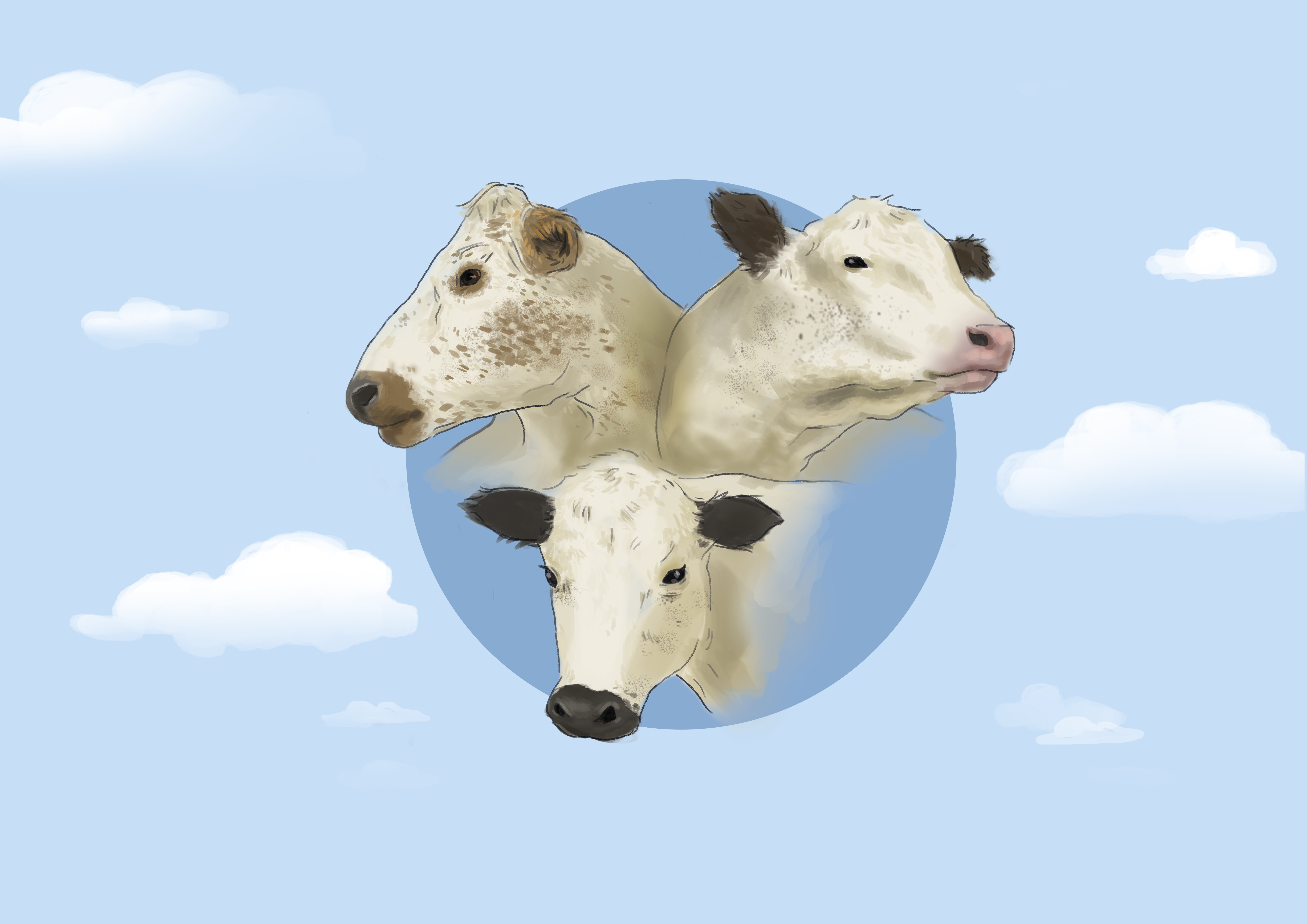 Tre illustrerade kohuvuden som tittar ut ur en cirkel. Bakgrunden är en illustrerad himmel med några moln.