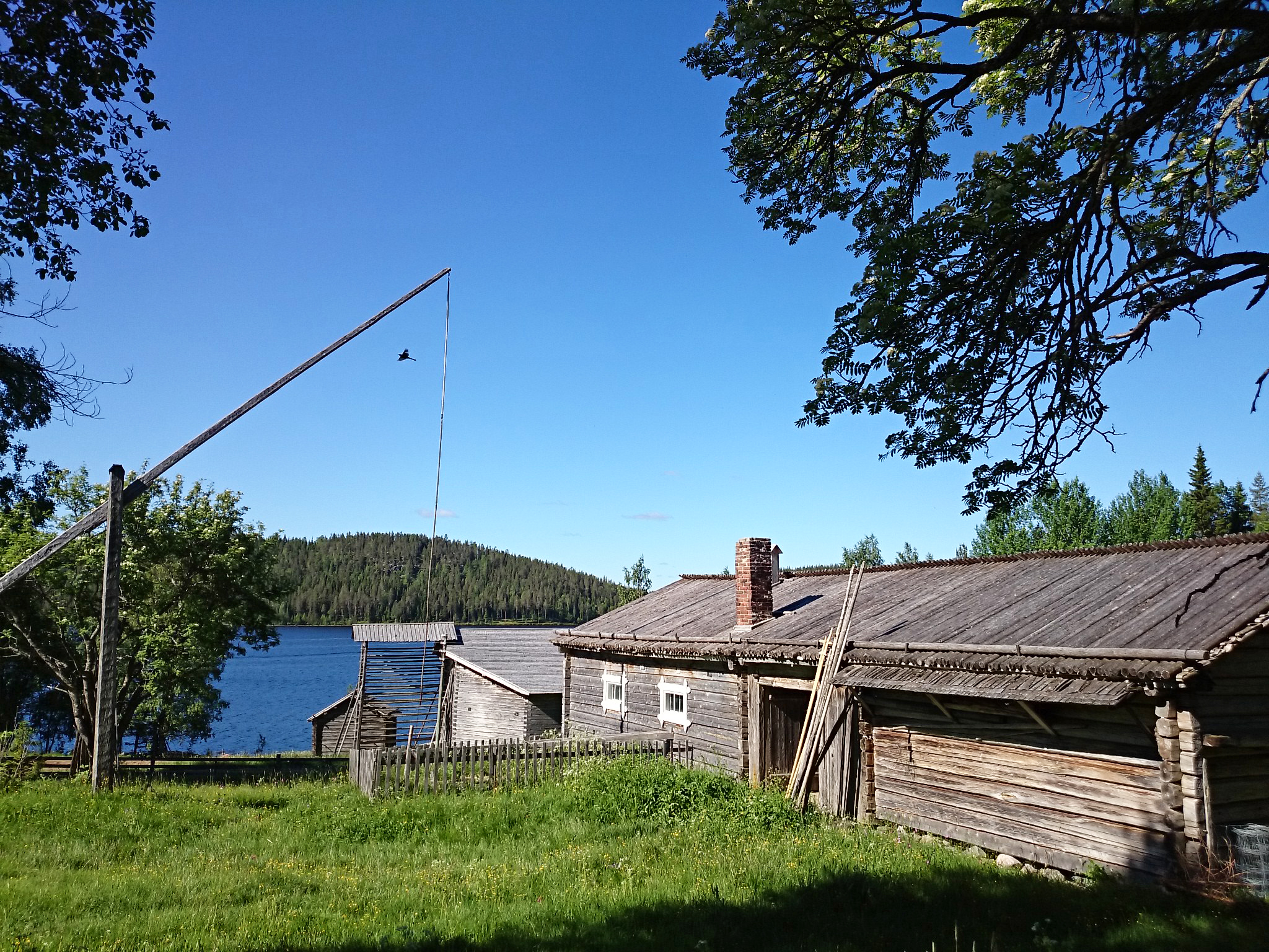 Gallejaur Kultur och Naturreservat, Arvidsjaur. Foto: Erica Duvensjö, Norrbottens museum.