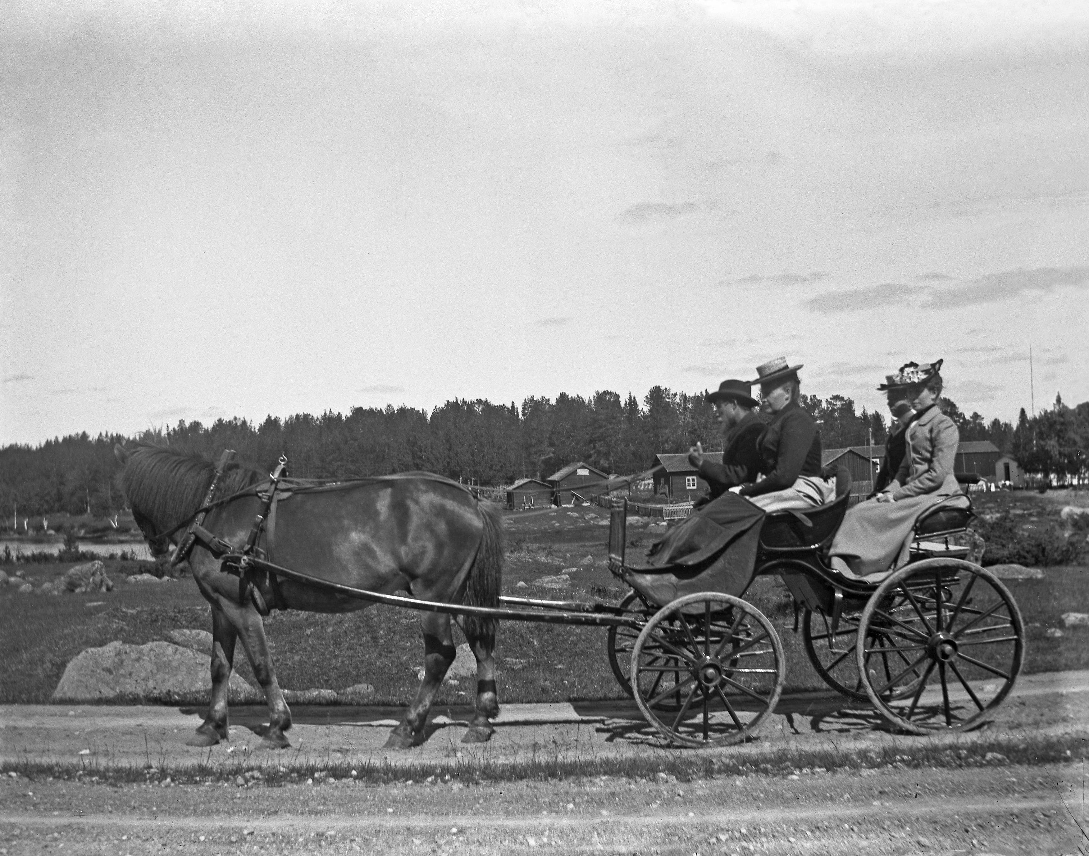 En gammaldags hästdroska med fyra personer som sitter i vagnen.